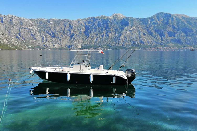 профессиональная-спортивная-рыболовная-лодка-с-кабиной-или-открытая-с-t-top-или-жестким-верхом9